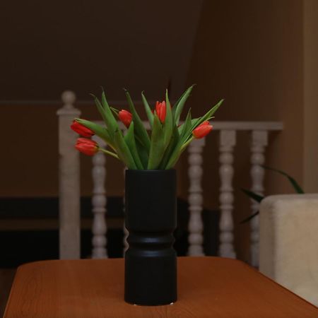 Erika Panzio Bed & Breakfast Ditrău Eksteriør bilde