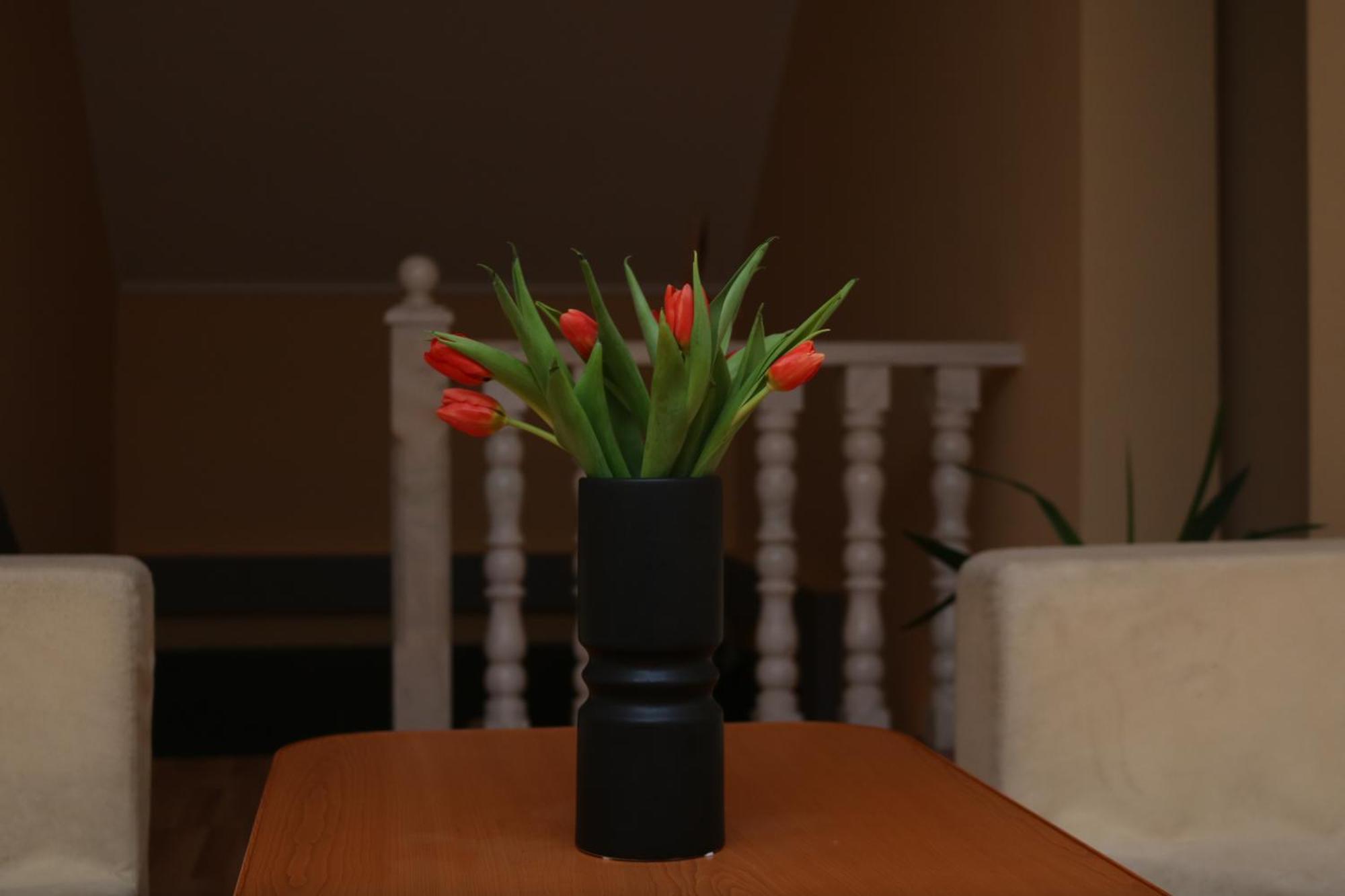Erika Panzio Bed & Breakfast Ditrău Eksteriør bilde